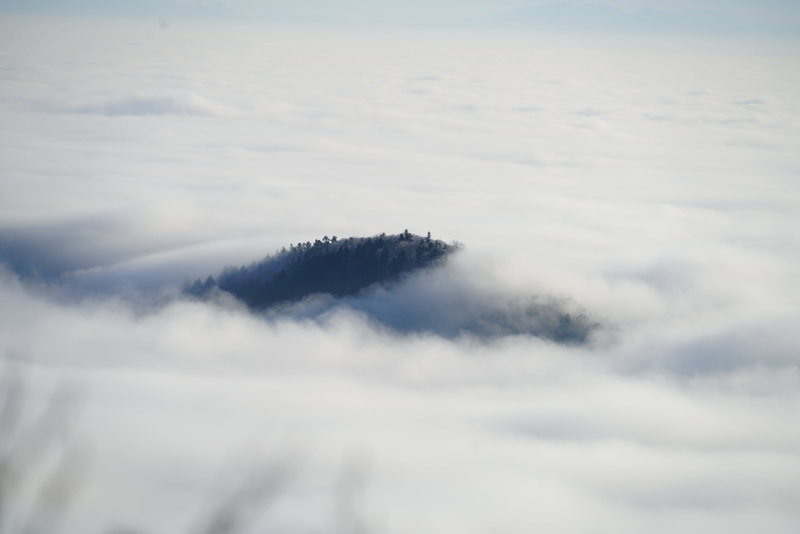 8K, no people, summit, belchenflue, view, idyllic, environment, day, fog, white, tranquil scene, scenics - nature, mountain, bird, sky, majestic, photography