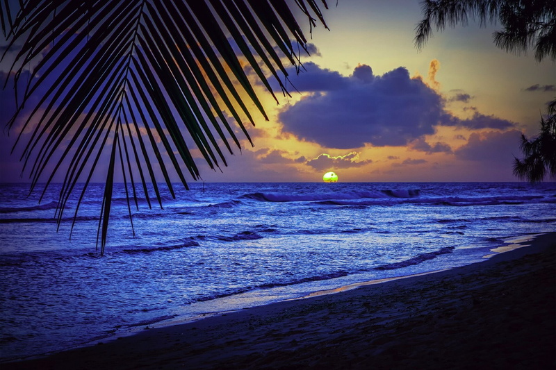 list, sunset, evening, barbados, silhouette, sun, caribbean, 1080P, sea, palms, beach