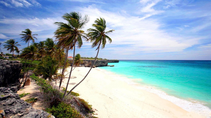 Barbados, Tropical, Horizon, Photography, Palm Tree, 1080P, Beach, Ocean, Turquoise