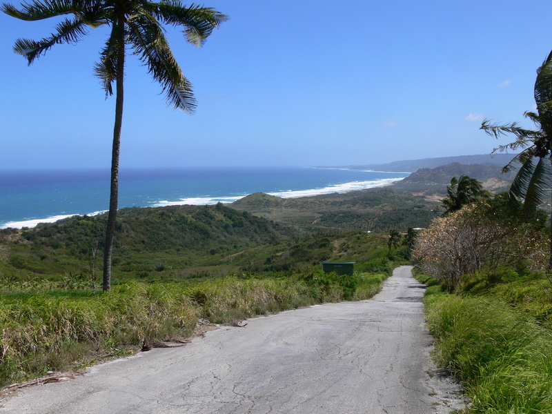 vacation, water, sky, scenics - nature, tree, beauty in nature, tropical climate, tranquil scene, barbados, trip, blue sky, far, nature, travel, tranquility