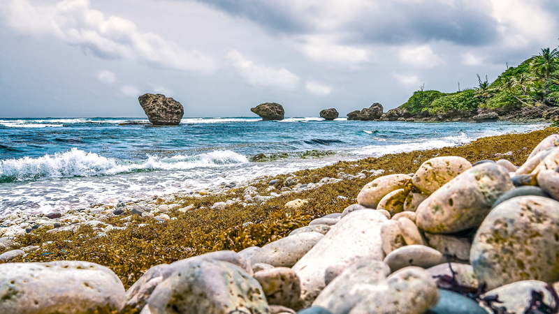 carribean, seaweed, formation, scenics, dramatic, seashore, 5K, summer, coastline, coral, coast, landscape, grey  cloud, stormy, sea, landscape photography