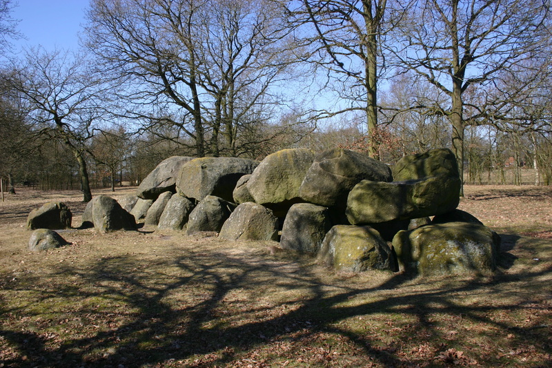 herbivorous, rock - object, nature, sky, shadow, plant, sunlight, landscape, animal, 2K, animal themes, prehistory, tree, field, mammal, no people, land