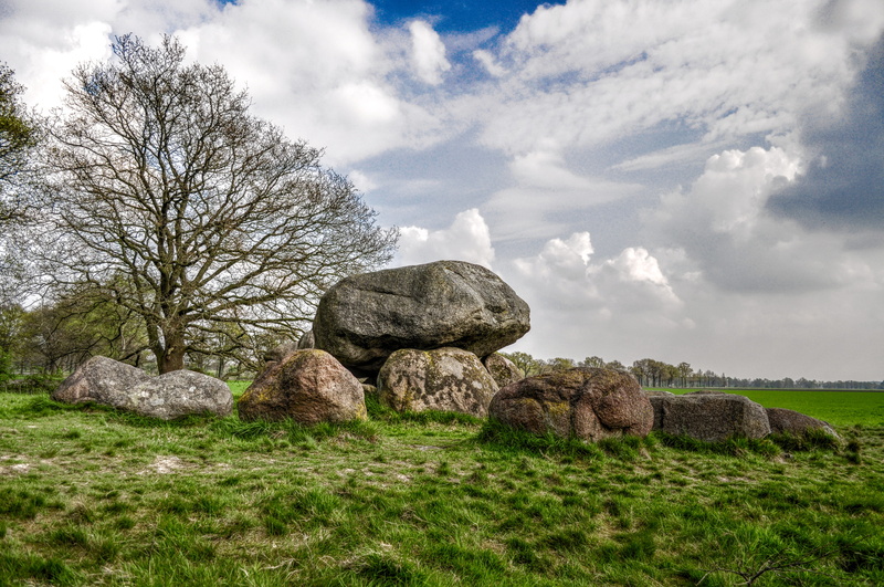 rock - object, boulder - rock, dolmen, grass, near, scenics - nature, branches, tranquility, brown, tree, solid, plant, stones, bare, rocks, nature, beauty in nature