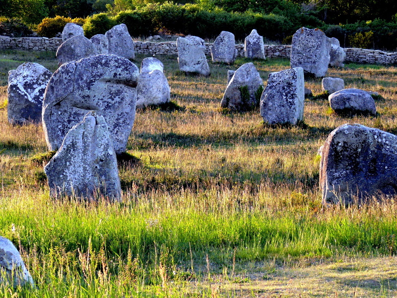 beauty in nature, land, memorial, history, brittany, plant, field, day, carnac, nature, grass, megaliths, solid, stone, no people, 2K, outdoors, growth