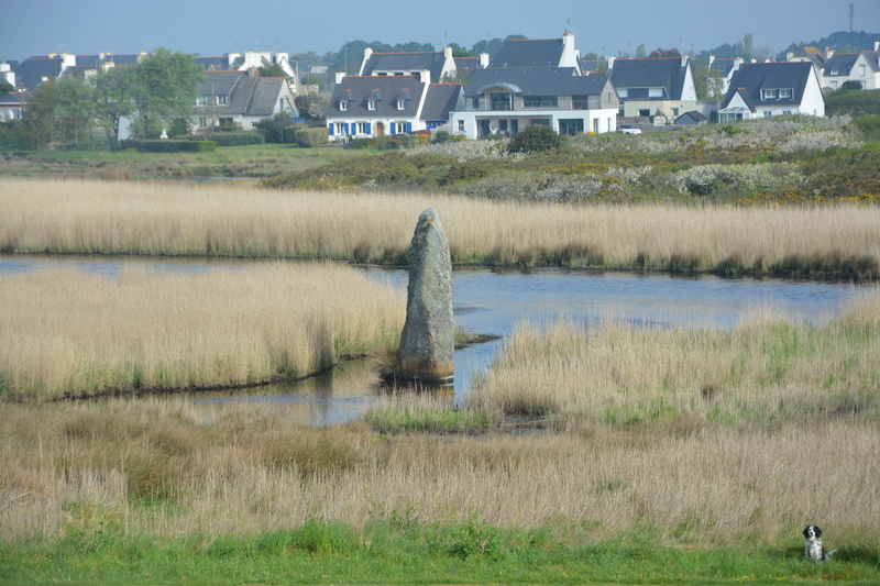 scenics - nature, plant, growth, brittany, 5K, no people, panoramic views, field, beauty in nature, lake, megalithe, building exterior, menhir rising