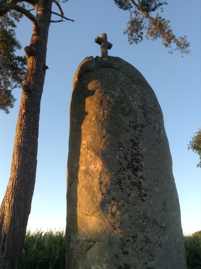 beauty in nature, menhir, outdoors, growth, celtic, art and craft, 2K, nature, clear sky, tree trunk, sky, animal themes, day, branch, tree, trunk, animal