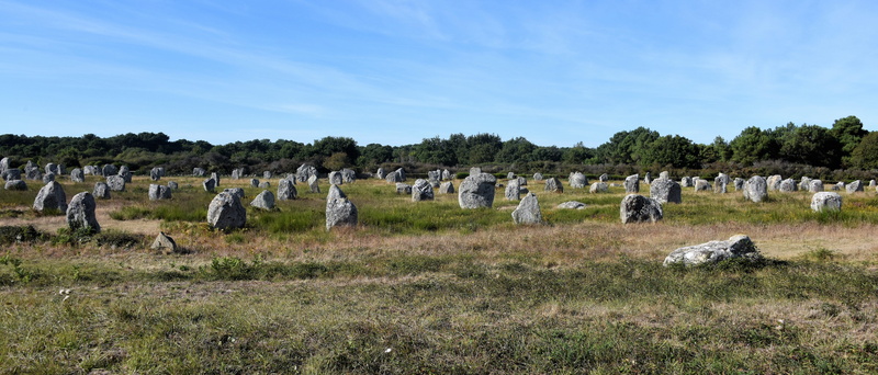 landscape, plant, sky, mégalithe, france, field, huge, nature, land, no people, stones, neolithic, menhirs, group of animals, architecture, animal, mammal