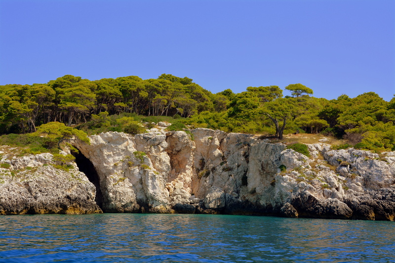 sky, clear sky, tranquility, tremiti islands, view into land, rock, beach, mountain, gargano, forest, 5K, rock - object, water, tree, trees, beauty in nature
