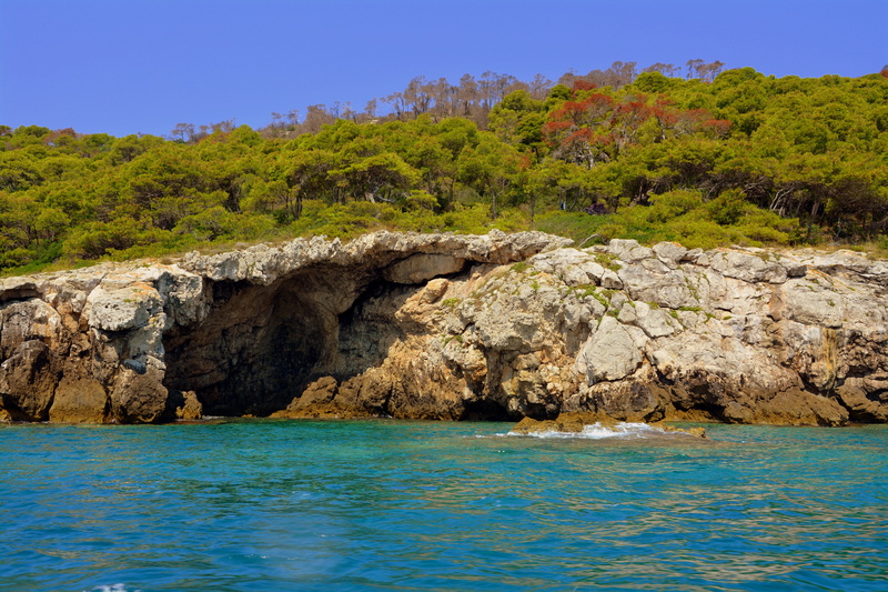 sea, tranquil scene, nature, waterfront, tremiti islands, cliffs, coniferous tree, rock - object, pine woodland, tree, scenics - nature, gargano, pine tree