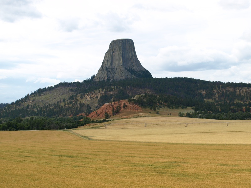 tree, nature, wyoming, usa, rock formation, land, landscape, formation, scenics - nature, no people, grass, beauty in nature, mountain peak, cloud - sky