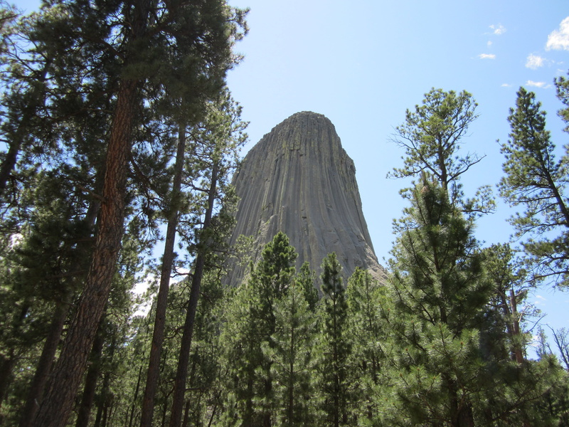 national park, outdoors, non-urban scene, plant, clear sky, nature, beauty in nature, tranquility, 4K, tree, devils tower, tranquil scene, low angle view