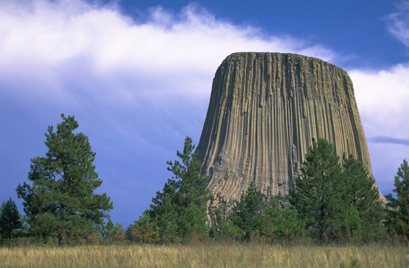 nature, tree, environment, devils tower, grass, green color, semi-arid, rock, cloud - sky, tranquility, field, travel destinations, united states, beauty in nature