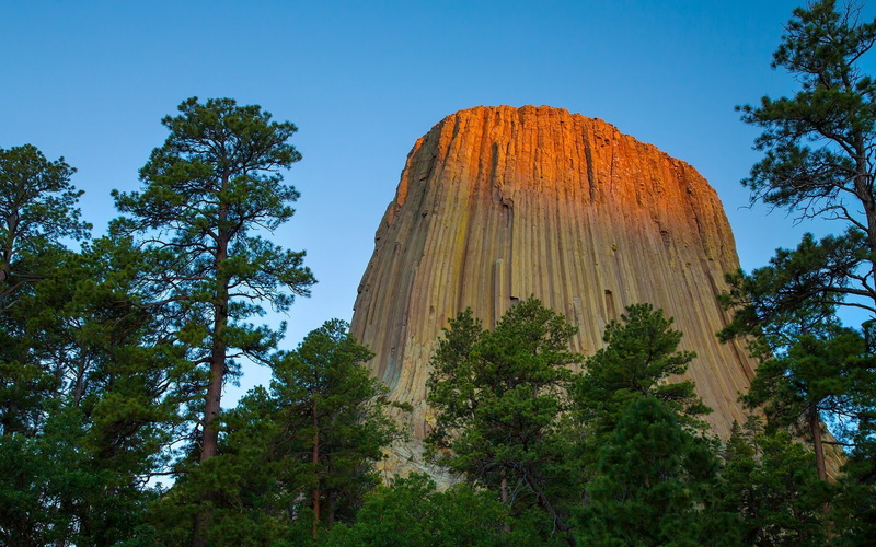 coniferous tree, tranquility, woodland, day, green color, devils tower rock formation monuments forest wyoming, outdoors, travel destinations, solid, sky