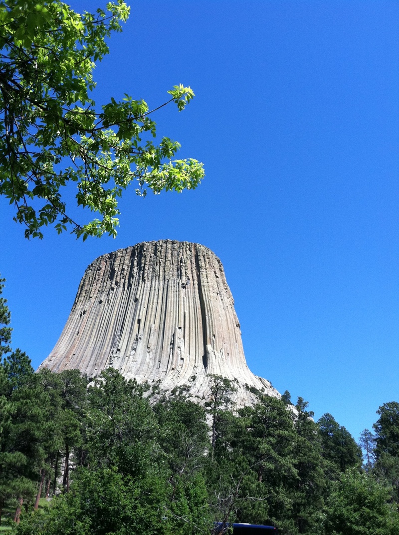 scenics - nature, tranquility, copy space, day, formation, sky, growth, scenery, nature, outdoors, no people, mountain, green color, park, clear sky, tower