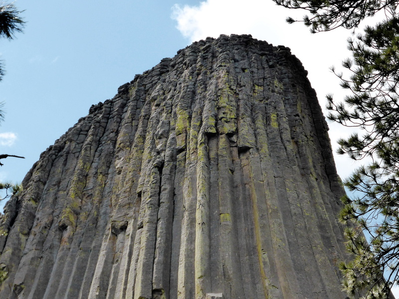 Usa, nature, tree trunk, outdoors, cloud - sky, day, national park, art and craft, 4K, no people, craft, Mountain, tall - high, plant, DevilS Tower, sky