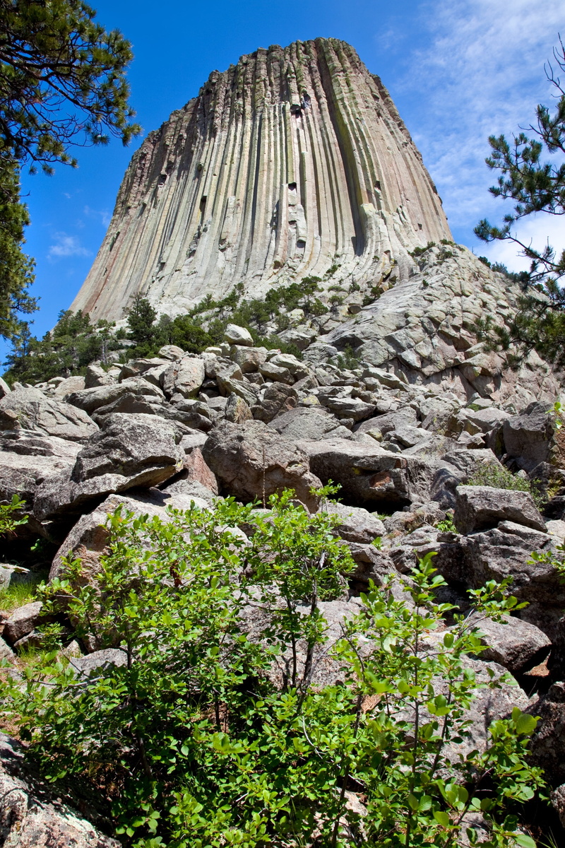 wyoming, travel, cloud - sky, solid, monument, america, tree, outdoors, rock formation, plant, geology, scenics - nature, beauty in nature, Devils Tower