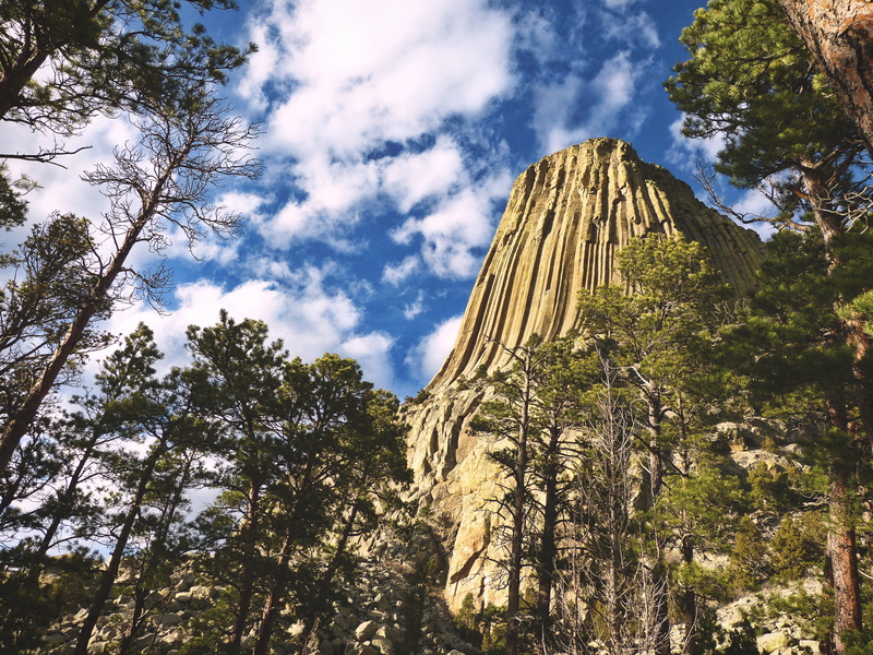 national park, sky, growth, scenics - nature, cloud - sky, outdoors, plant, monument, rock formation, rock - object, rock, day, no people, devils, nature