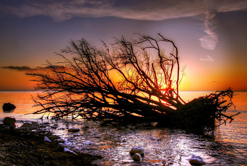 Nature, driftwood, horizon over water, landscape, lake, wave, seashore, rock, sand, sea, pebble, no people, beauty in nature, tranquility, reflection, moens klint