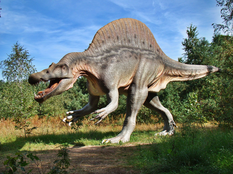 day, gad, land, green color, plant, animal representation, one animal, dinosaur, grass, animal, herbivorous, side view, representation, tree, prehistory