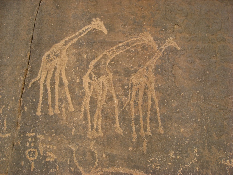ancient civilization, close-up, ancient writing, giraffes, old, full frame, text, communication, wall - building feature, creativity, art and craft, outdoors