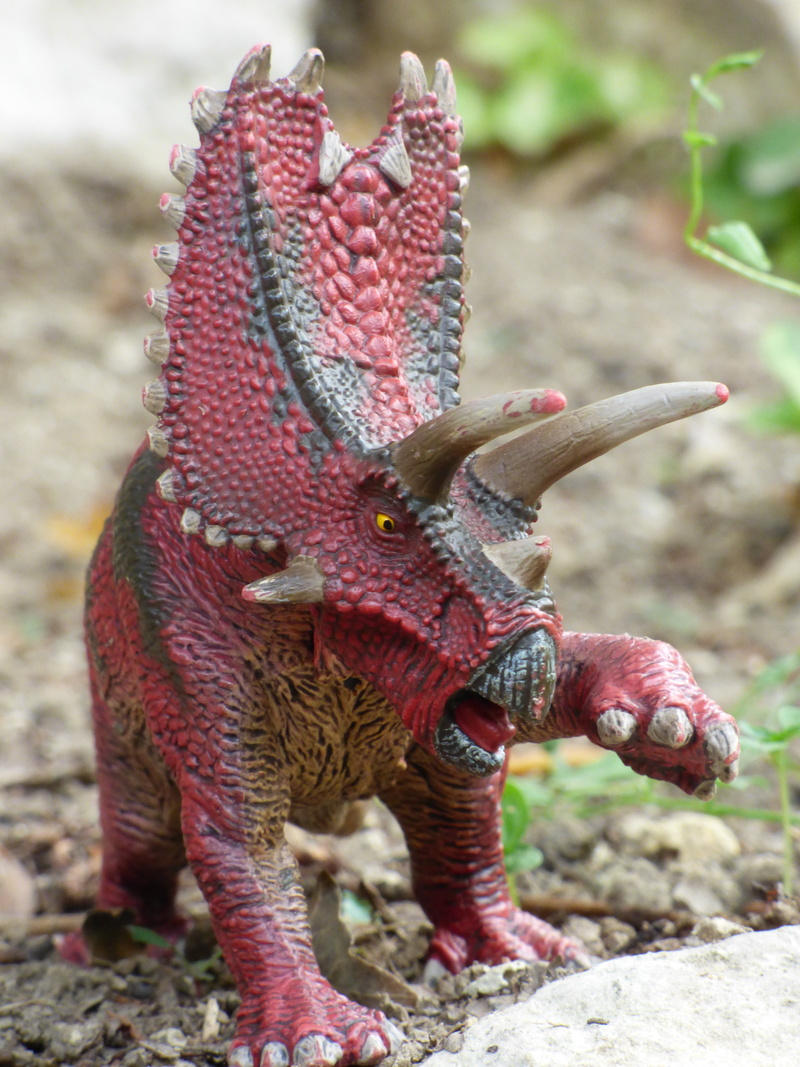 creativity, day, animals in the wild, land, solid, vertebrate, pentaceratops, nature, art and craft, figurine, one animal, toy, animal, 4K, red, animal wildlife