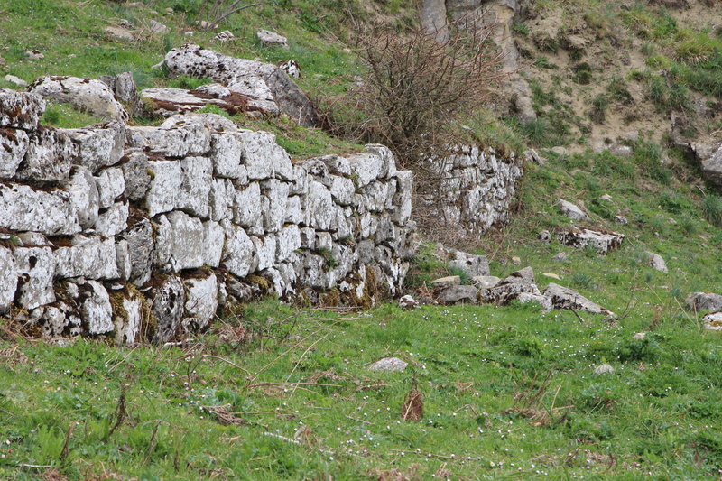 architecture, landscape, wall, plant, outdoors, sicily, solid, green color, bricks, day, growth, stone, beauty in nature, ancient, nature, no people, field