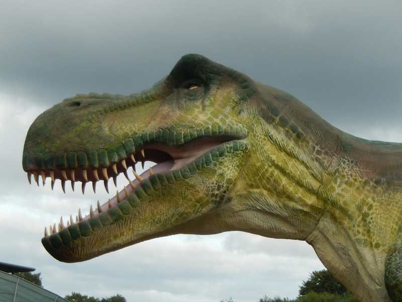 animal wildlife, animal head, animal body part, one animal, wildlife, animal mouth, large, carnivore, mouth, Prehistory, mouth open, animal representation