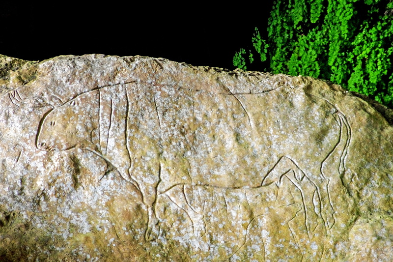 rock, Hermit, fossil, extinct, tranquility, rock engraving, textured, engraving, one animal, plant, 2K, sunlight, land, bos primigenius, calabria, bovid