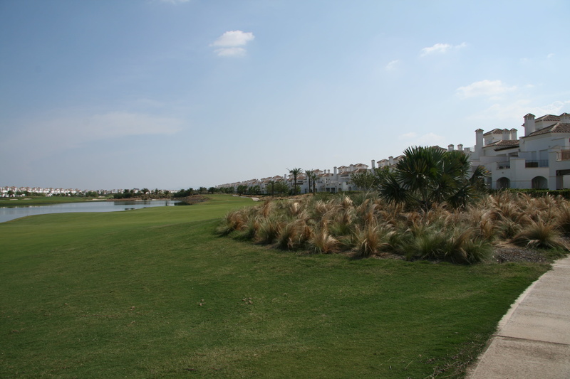 landscape, building exterior, tree, no people, day, outdoors, architecture, built structure, la torre golf resort, plant, field, green color, nature, building