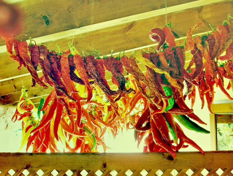 close-up, freshness, arrangement, abundance, wellbeing, spain, indoors, hanging, 2K, vegetable, large group of objects, spice, day, no people, for sale