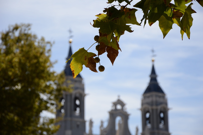 architecture, clouds, construction, building exterior, time, people, tree, out of focus, cathedral, park, duomo, travel, growth, belief, church, monument