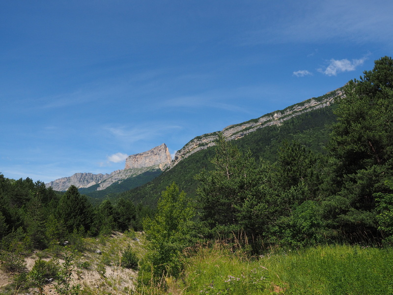 4K, massif, Mountain, mountain range, Massif, land, Mont Aiguille, no people, plant, tranquility, forest, green color, clelles, westalpen, sky, tree, pine tree