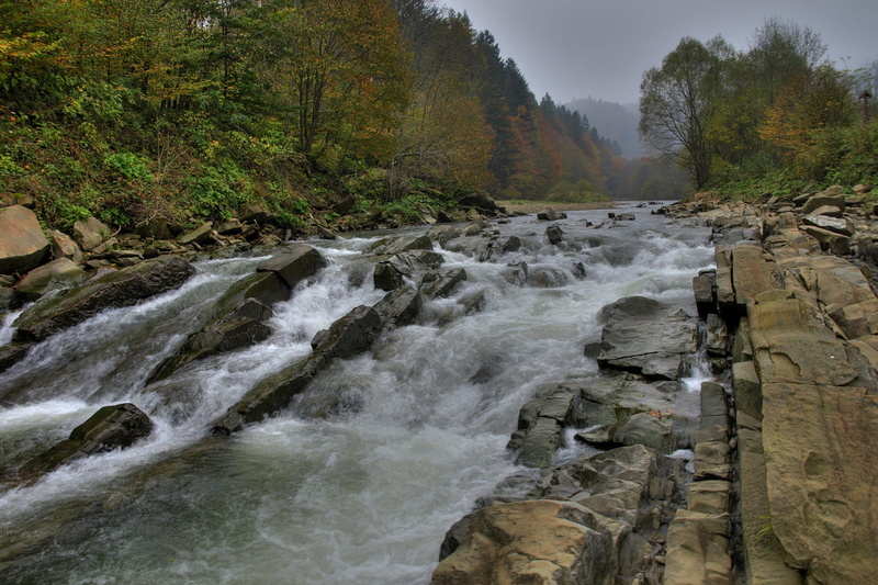 flowing, solid, stream - flowing water, tree, power in nature, scenics - nature, siny, flowing water, outdoors, monolithic part of the waters, rainforest
