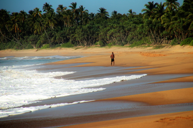 aquatic sport, tree, standing, boiling hot, monolithic part of the waters, running, 5K, view, sand, travel, seashore, jogging, ocean, a person, water