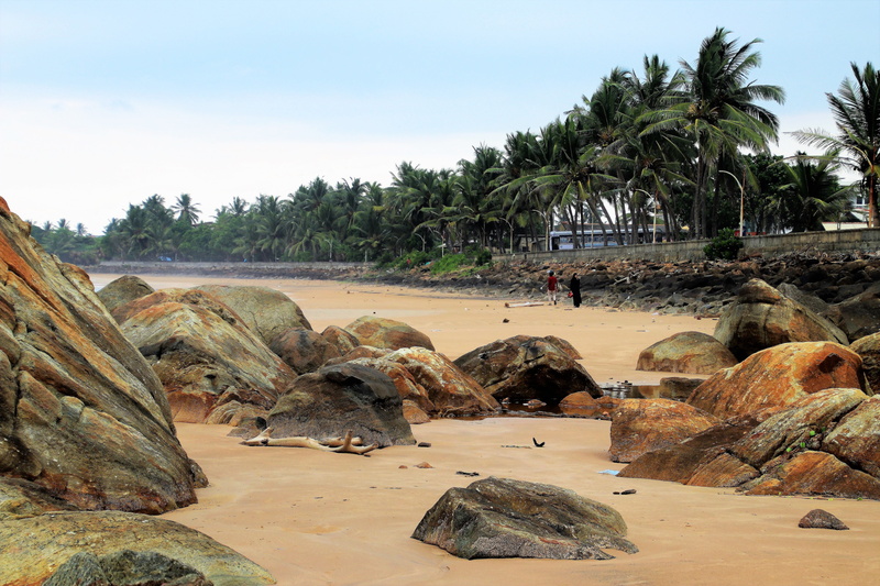scenery, water, rocks, plant, tour, relax, rest, 5K, exotica, sand, sandy beach, palm trees, holidays, tourism, day, growth, wind, rock, view, land, travel