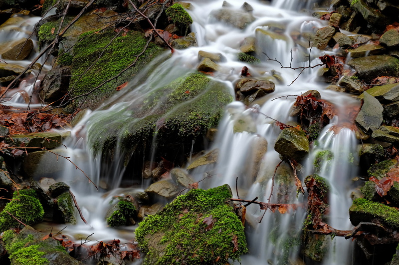 stone, leaf, water, floating cranes, silesian beskid, the environment, moss, poland, motion, monolithic part of the waters, waterfall, tree, solid, flowing water