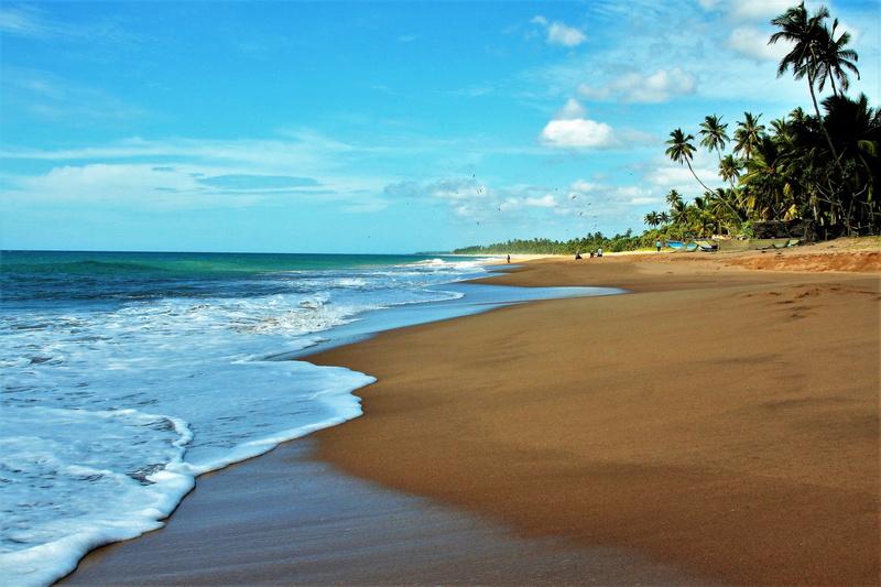 wet, water, island, tourism, blue, travel, boiling hot, wave, sea, horizon, beach, horizon over water, coconut palm tree, outdoors, idyllic, view, land