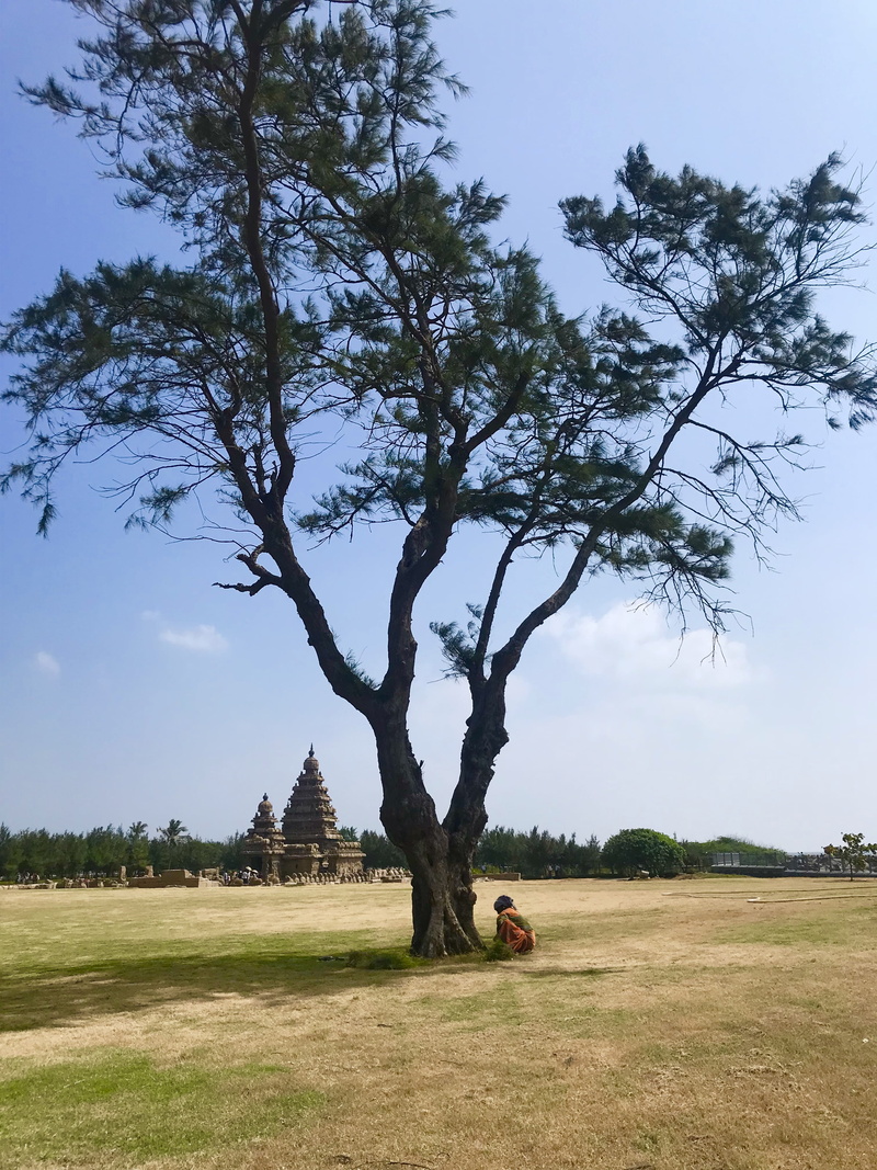 sky, field, grassland, tranquility, savanna, lawn, tree, land, grass, architecture, person, ground, scenics - nature, park, tranquil scene, india, outdoors
