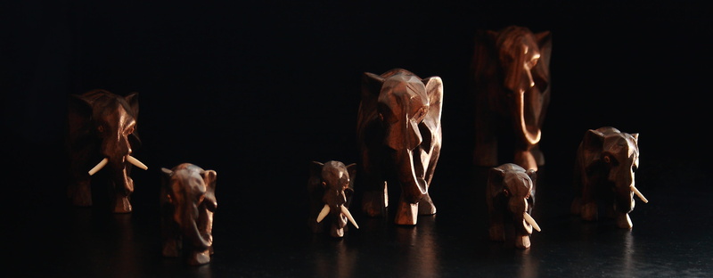 adult, livestock, domestic animals, banner, creativity, handwork, culture, animal, still life, black background, bull - animal, panoramic, craft, mammal