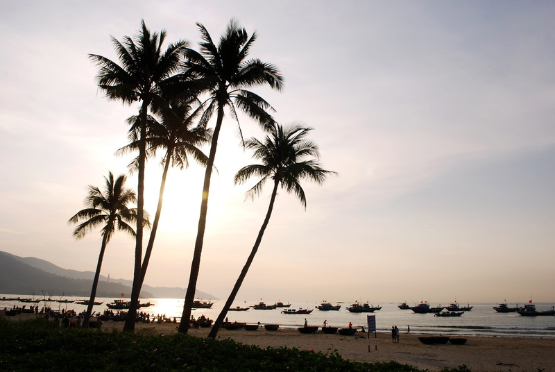 outdoors, danang, melons, green, tranquility, horizon over water, the beach, sea, water, coconut tree, beauty in nature, vietnam, vacations, beach, tropical climate