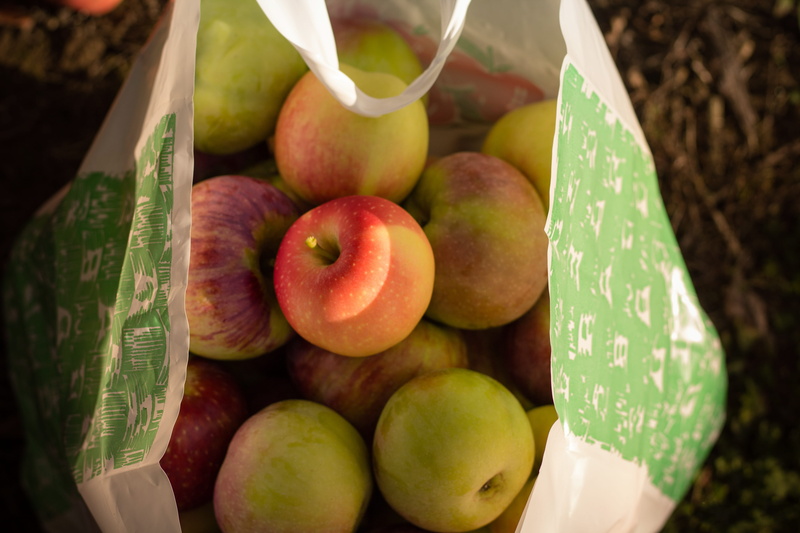 day, apple - fruit, ripe, wellbeing, red, high angle view, nature, variation, large group of objects, freshness, amesbury, food, bag, family fun, food and drink