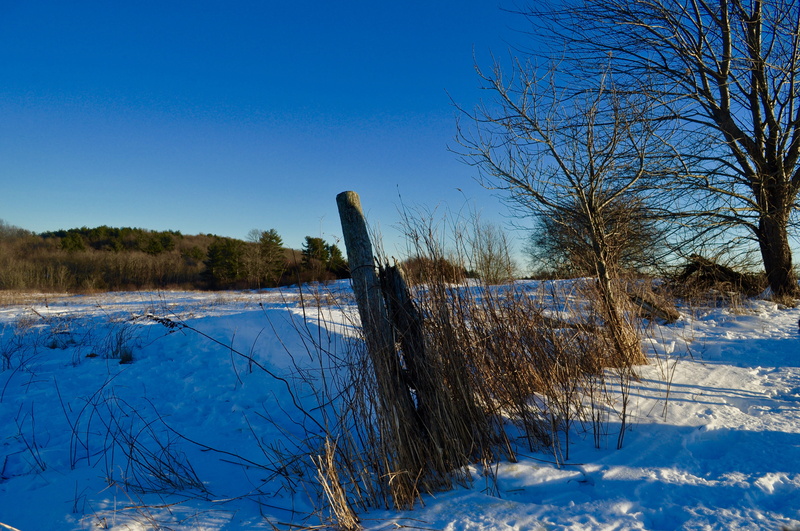 blue, beauty in nature, clear sky, field, farm, post, ruins, plant, covering, cold temperature, sky, land, tranquility, 4K, trees, non-urban scene, outdoors