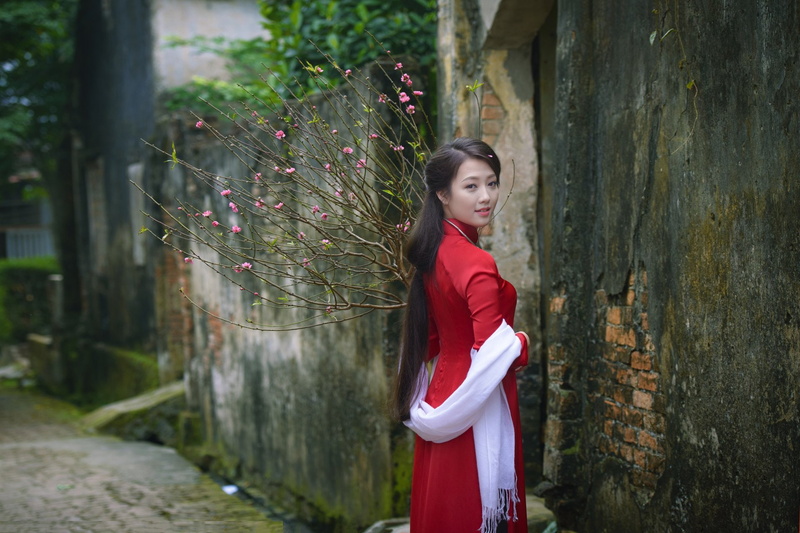 Ao Dai, 1080P, Asian, Women, Vietnamese, Girl