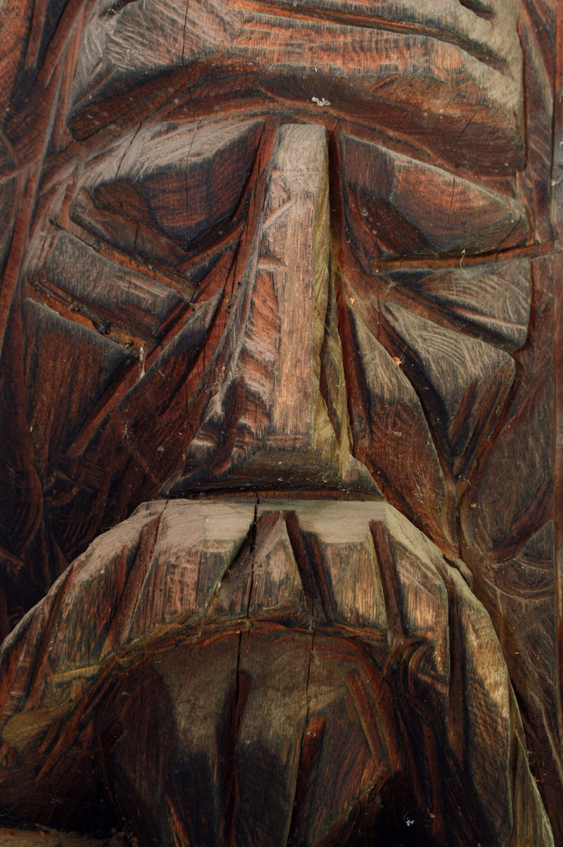 pattern, wood, wood - material, solid, tortoise, brown, the past, rock, history, carving, textured, statue, backgrounds, no people, rural atmosphere, ancient