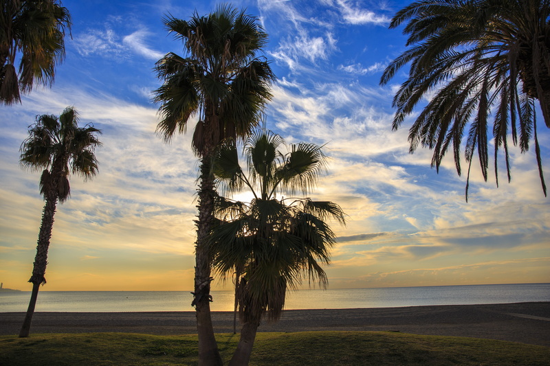 water, tranquil scene, outdoors, palm trees, sea, costa de la luz, rating, tranquility, land, palm tree, scenics - nature, the child on the beach, summer