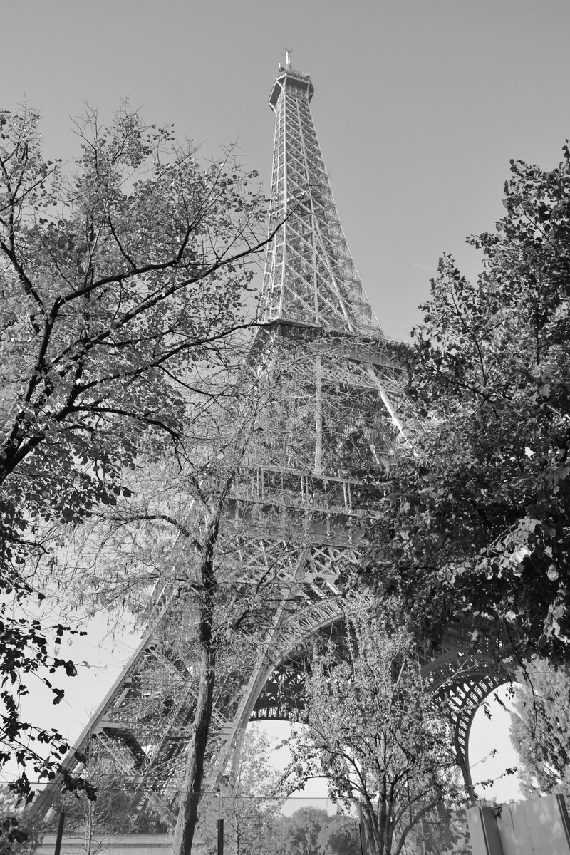 spire, nature, day, symbol, height-324 metres, sky, tourism, paris eiffel tower, branch, tall - high, history, heritage, outdoors, the past, building exterior