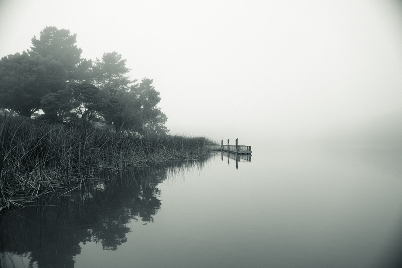 water, bw, gray, f2, lake, Lake Merced, merced, san francisco, tree, lakes, reflection, green, 720P, nature, om, green lake