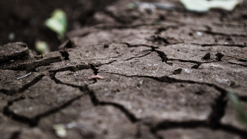 4K, textured, dry, cracked, damaged, pretoria, climate, arid climate, paving stone, pattern, day, no people, green, plant, field, drought, full frame