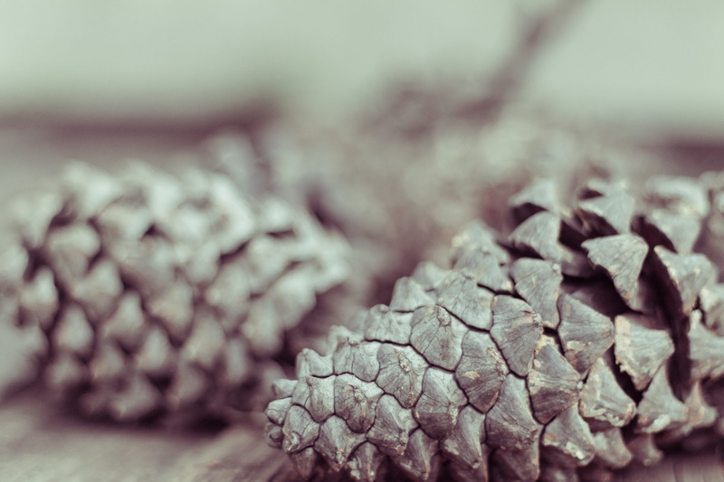 abundance, no people, indoors, wellbeing, gitfo, luxury, healthy eating, raw, stack, pretoria, close-up, focus on foreground, dried food, soft, wood - material