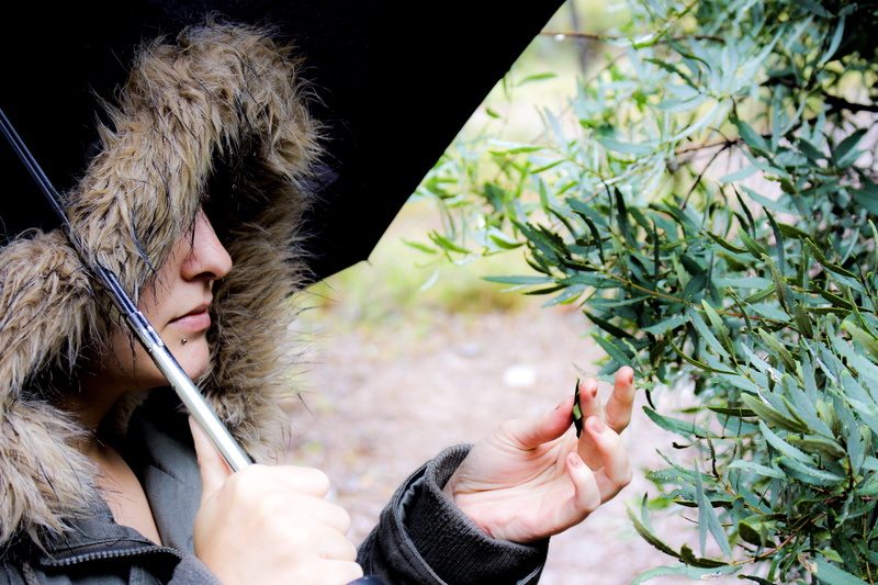 plants, photography, human hand, headshot, wet, adult, water, nature, real people, leaf, rainy, dark, experience, one person, hair, greenery, pets, forest